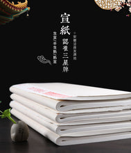 Load image into Gallery viewer, Ripe Xuan Paper 熟宣 Chinese Sumi Xuanzhi Rice Paper 50 Sheets
