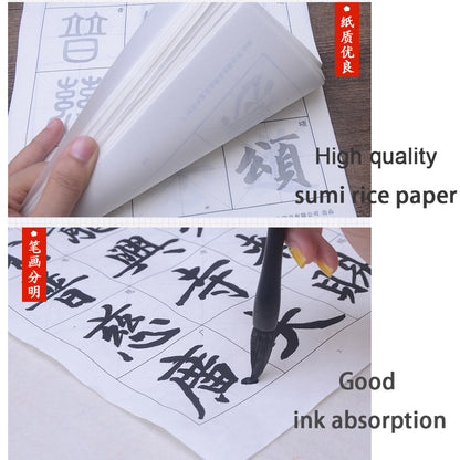 Zhao Mengfu Style 赵孟頫 Dan Ba Bei 胆巴碑 79 Sheets