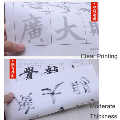 Zhao Mengfu Style 赵孟頫 Dan Ba Bei 胆巴碑 79 Sheets