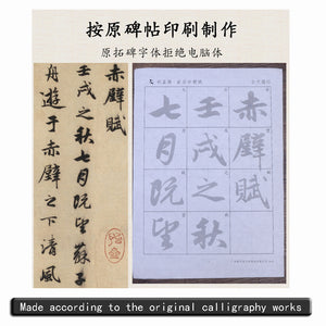 Zhao Mengfu 赵孟頫 Ode to The Red Cliff 前后赤壁赋 80 sheets