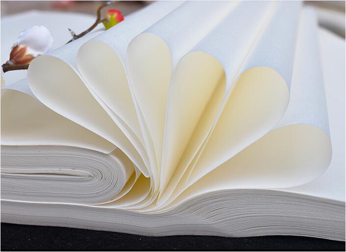 Handmade Writing Painting Blank 100% Raw Xuan Paper Sheng Xuan 生宣  100 Sheets