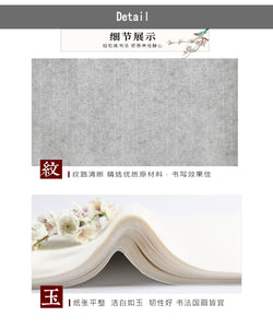 Ripe Xuan Paper 熟宣 Chinese Sumi Xuanzhi Rice Paper 50 Sheets
