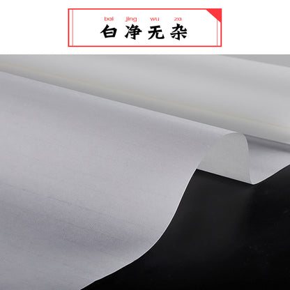 Handmade Chinese Calligraphy Ink Painting Rice Paper Blank 100% Raw Xuan Paper Sheets 生宣 for Beginners 50 Sheets