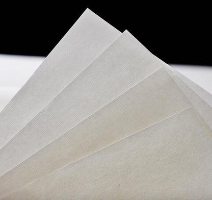 Handmade Writing Painting Blank 100% Raw Xuan Paper Sheng Xuan 生宣  100 Sheets