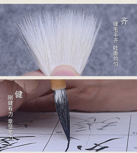Tie Xian Zhuan 铁线篆  for writing Seal Script Zhuan Shu 篆书