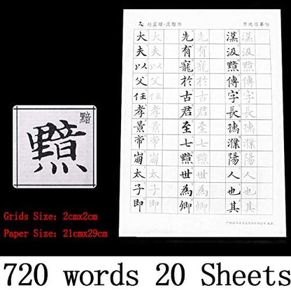 Chinese Calligraphy Tracing Xuan Paper Zhao Mengfu Style 赵孟頫 Legend of Ji an 汲黯传