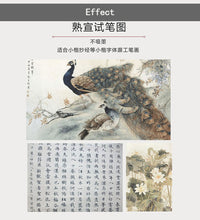 Load image into Gallery viewer, Ripe Xuan Paper 熟宣 Chinese Sumi Xuanzhi Rice Paper 50 Sheets
