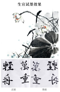 Handmade Writing Painting Blank 100% Raw Xuan Paper Sheng Xuan 生宣  100 Sheets