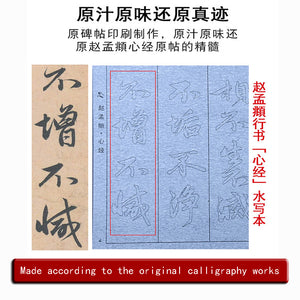 Zhao Mengfu 赵孟頫 The Heart Sutra 心经 Water Writing Book Set
