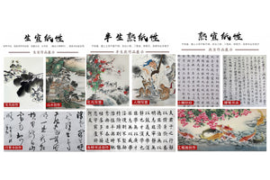 Plain Blank Xuan Paper Roll 宣纸 35cmx100m